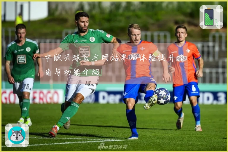 中欧买球官方网站界面体验提升指南与功能介绍