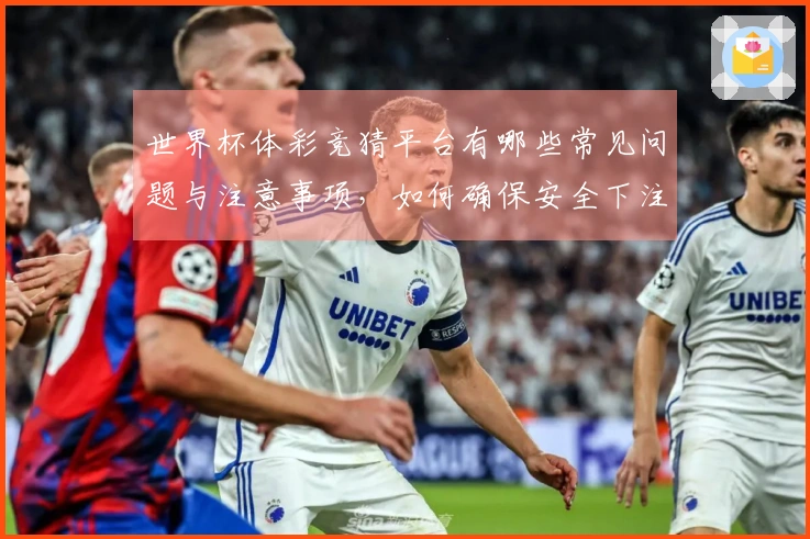 世界杯体彩竞猜平台有哪些常见问题与注意事项，如何确保安全下注？