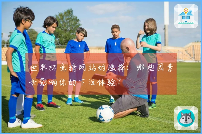 世界杯竞猜网站的选择：哪些因素会影响你的下注体验？