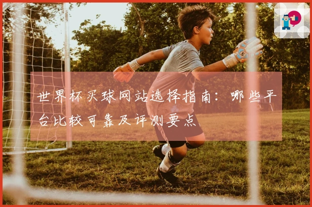 世界杯买球网站选择指南：哪些平台比较可靠及评测要点