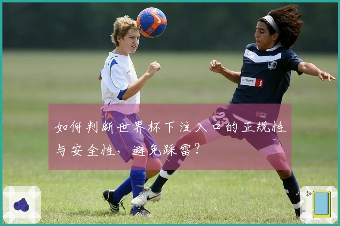 如何判断世界杯下注入口的正规性与安全性，避免踩雷？