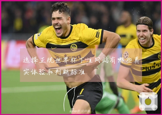 选择正规世界杯下注网站有哪些真实体验和判断标准