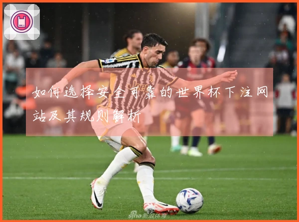 如何选择安全可靠的世界杯下注网站及其规则解析