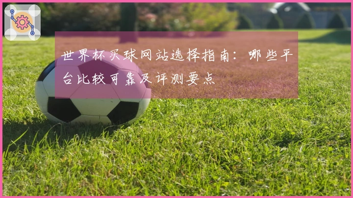 世界杯买球网站选择指南：哪些平台比较可靠及评测要点