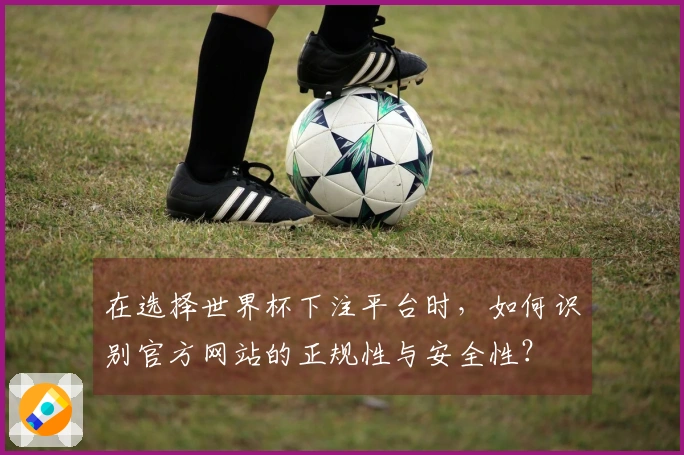 在选择世界杯下注平台时，如何识别官方网站的正规性与安全性？
