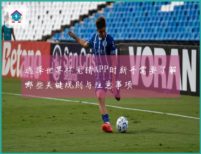 选择世界杯竞猜APP时新手需要了解哪些关键规则与注意事项