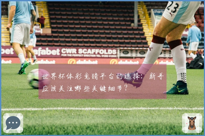 世界杯体彩竞猜平台的选择：新手应该关注哪些关键细节？