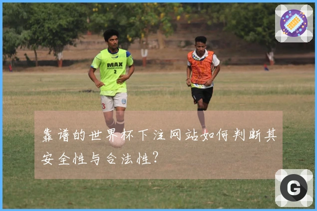 靠谱的世界杯下注网站如何判断其安全性与合法性？