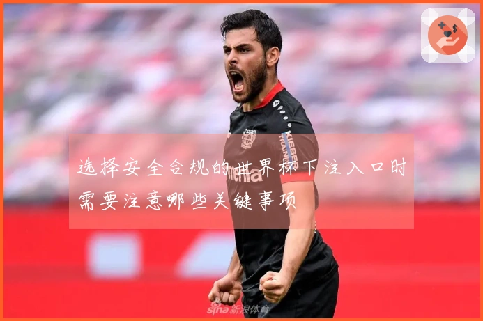 选择安全合规的世界杯下注入口时需要注意哪些关键事项
