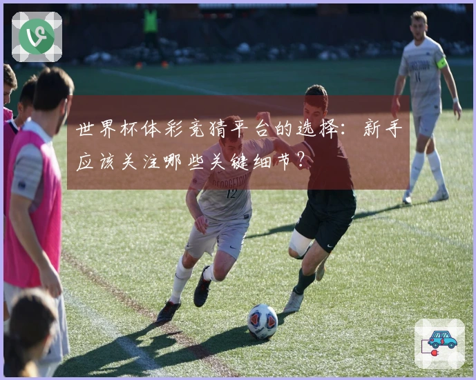 世界杯体彩竞猜平台的选择：新手应该关注哪些关键细节？
