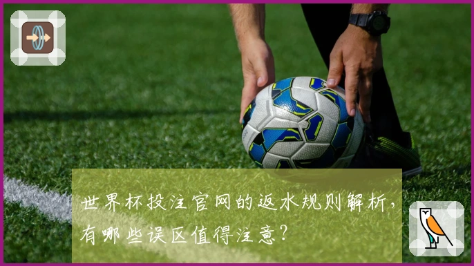 世界杯投注官网的返水规则解析，有哪些误区值得注意？