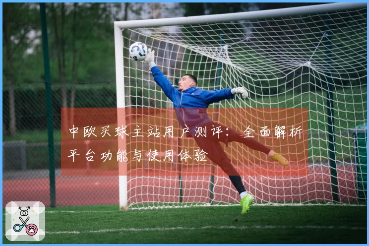 中欧买球主站用户测评：全面解析平台功能与使用体验