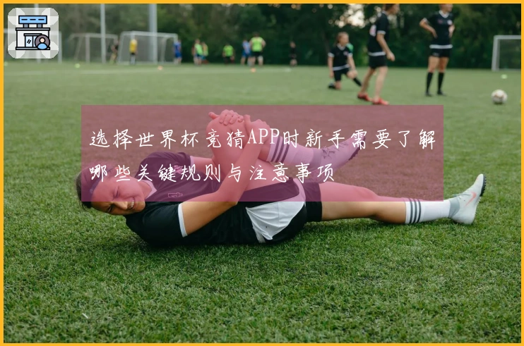 选择世界杯竞猜APP时新手需要了解哪些关键规则与注意事项