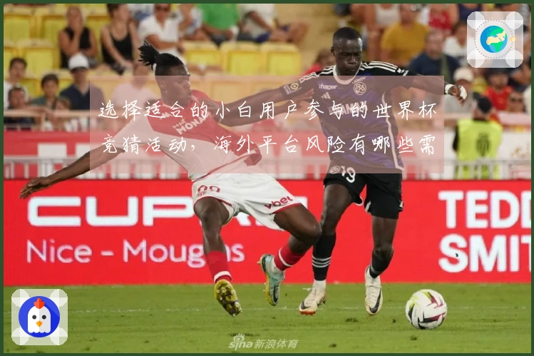 选择适合的小白用户参与的世界杯竞猜活动，海外平台风险有哪些需要注意的？