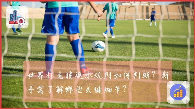 世界杯竞猜返水规则如何判断？新手需了解哪些关键细节？