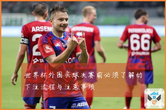 世界杯外围买球决赛前必须了解的下注流程与注意事项
